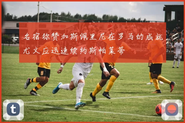 名宿称赞加斯佩里尼在罗马的成就尤文应迅速续约斯帕莱蒂
