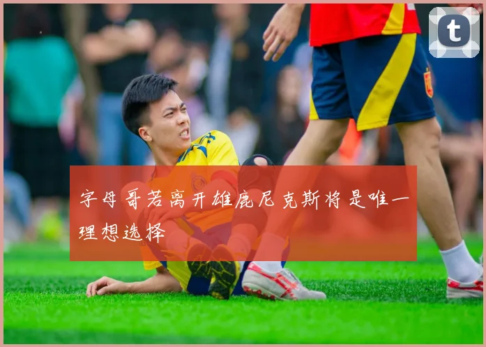 字母哥若离开雄鹿尼克斯将是唯一理想选择
