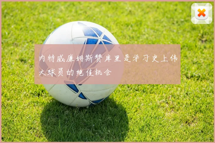 内特威廉姆斯赞库里是学习史上伟大球员的绝佳机会
