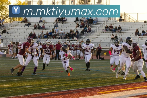 多媒体互动体验