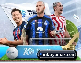 关于我们 - 体育资讯内容服务（mksports）